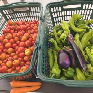 トマトやきゅうりなどの夏野菜がカゴいっぱいに入っている様子